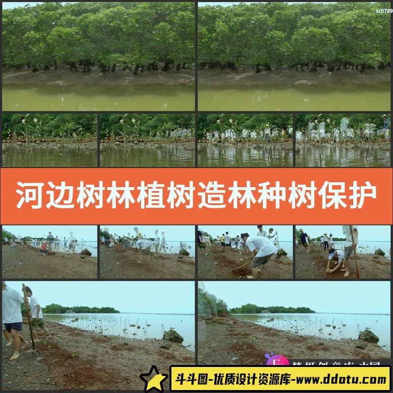 河边树林植树造林种树 保护环境 影视动态宣传片视频高清实拍素材-斗斗图