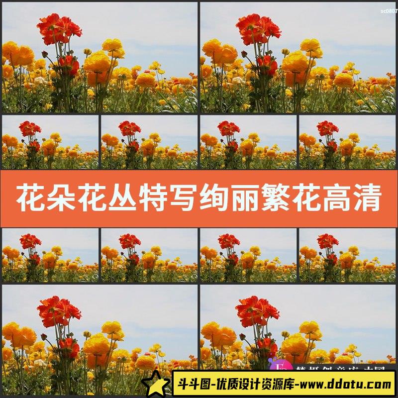 花朵花丛实拍特写绚丽繁花高清实拍视频影视素材合集-斗斗图