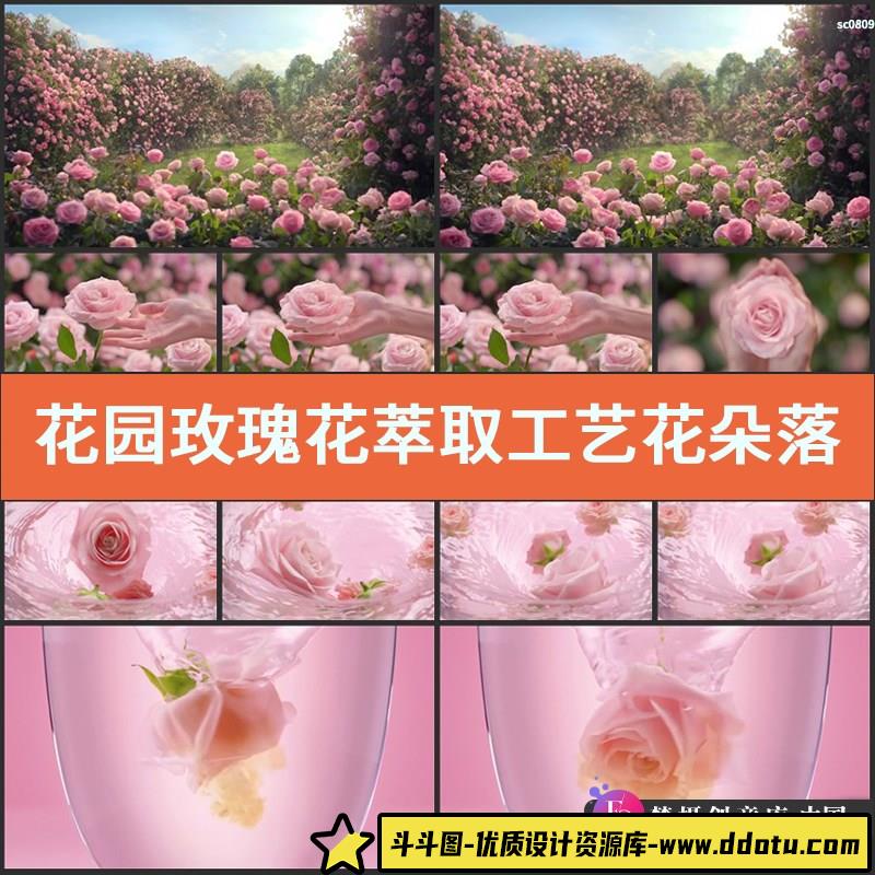 花园 玫瑰花 萃取工艺 花朵落入水中 美容高清实拍视频素材-斗斗图