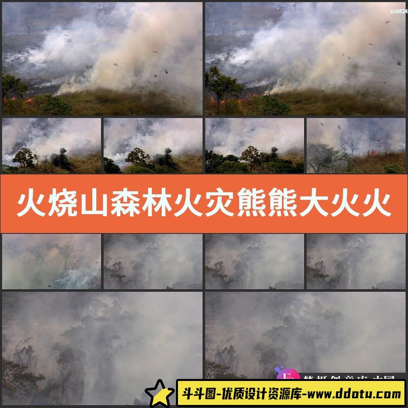 火烧山森林火灾熊熊大火火烧山过后野草重生实拍视频素材-斗斗图