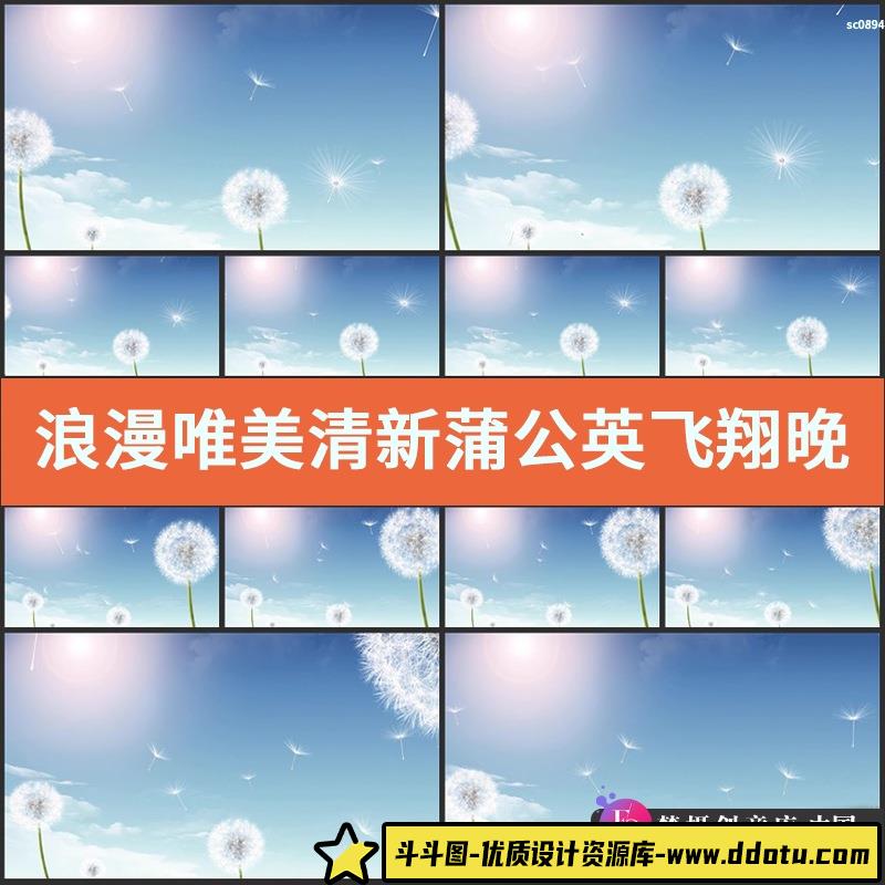 浪漫唯美清新蒲公英飞翔 晚会舞台背景视频LED大屏幕喜庆素材-斗斗图