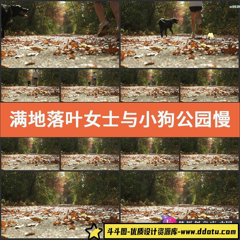 满地落叶女士与小狗公园慢跑散步运动低视觉高清视频拍摄视频素材-斗斗图