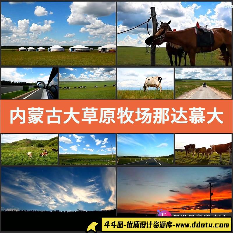 内蒙古大草原牧场 那达慕大会 摔跤比赛马术呼伦贝尔实拍视频素材-斗斗图