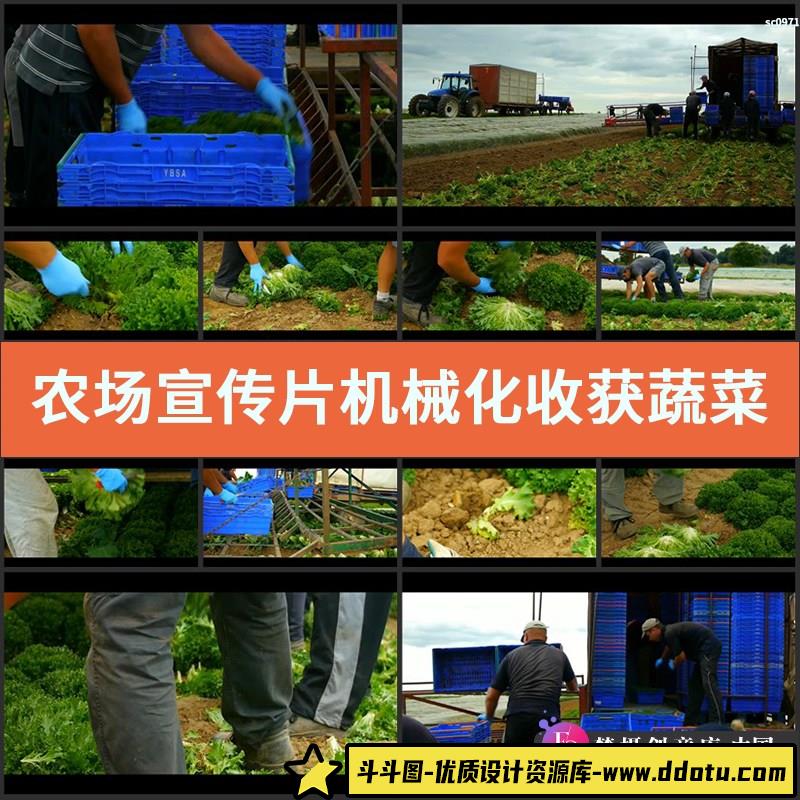 农场宣传片 机械化收获蔬菜 现代化绿色农场 无污染 实拍视频素材-斗斗图
