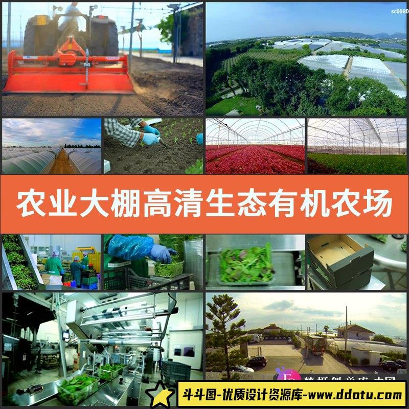 农业大棚高清实拍生态有机农场蔬菜种植采摘加工视频素材-斗斗图