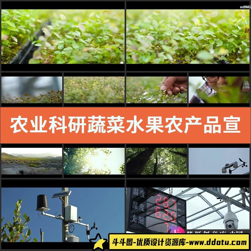 农业科研蔬菜水果农产品宣传片-斗斗图