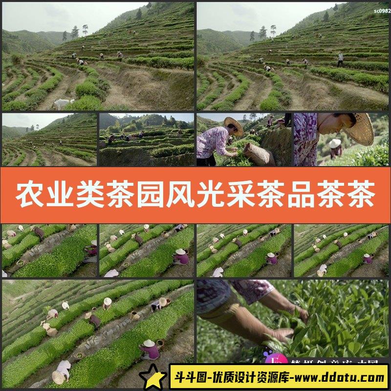 农业类茶园风光采茶品茶茶山茶农茶山风光镜头实拍视频素材-斗斗图