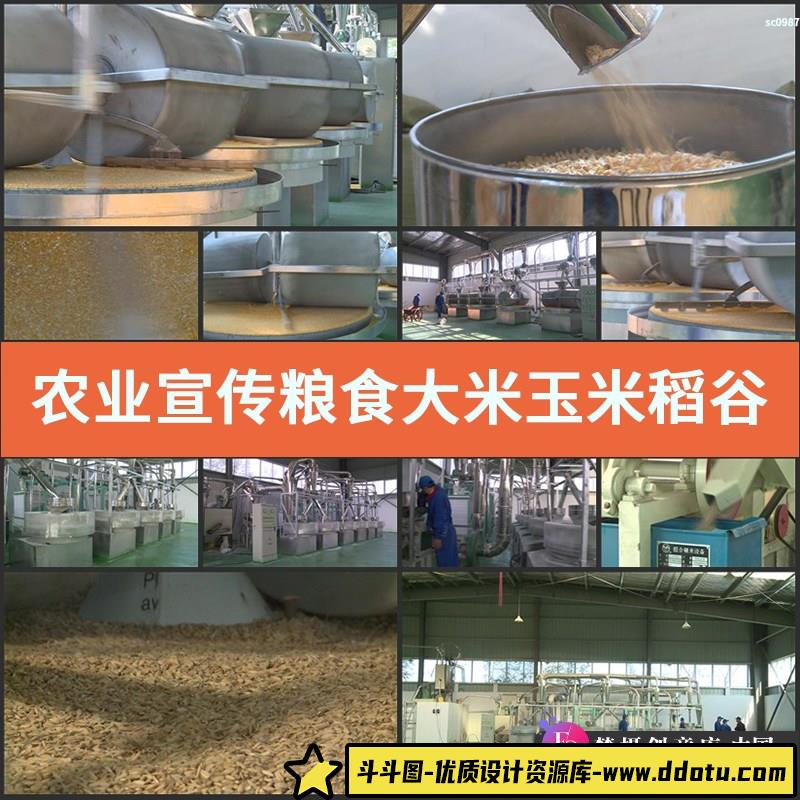 农业宣传 粮食大米玉米稻谷碾米生产车间加工高清实拍视频素材-斗斗图
