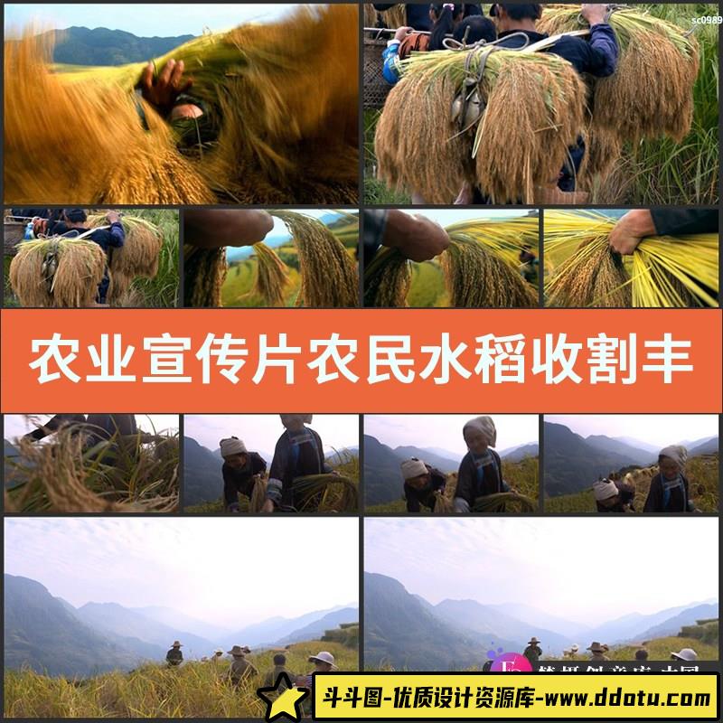 农业宣传片视频素材农民水稻收割丰收梯田高清实拍视频素材-斗斗图