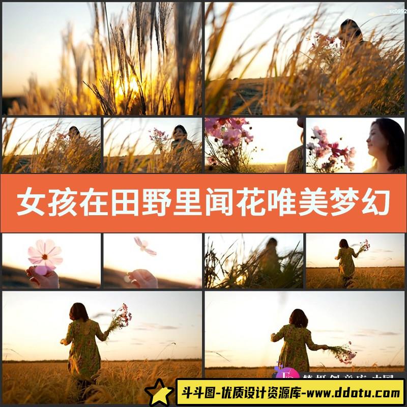 女孩在田野里闻花唯美梦幻视频 夕阳下的女孩浪漫高清视频素材-斗斗图
