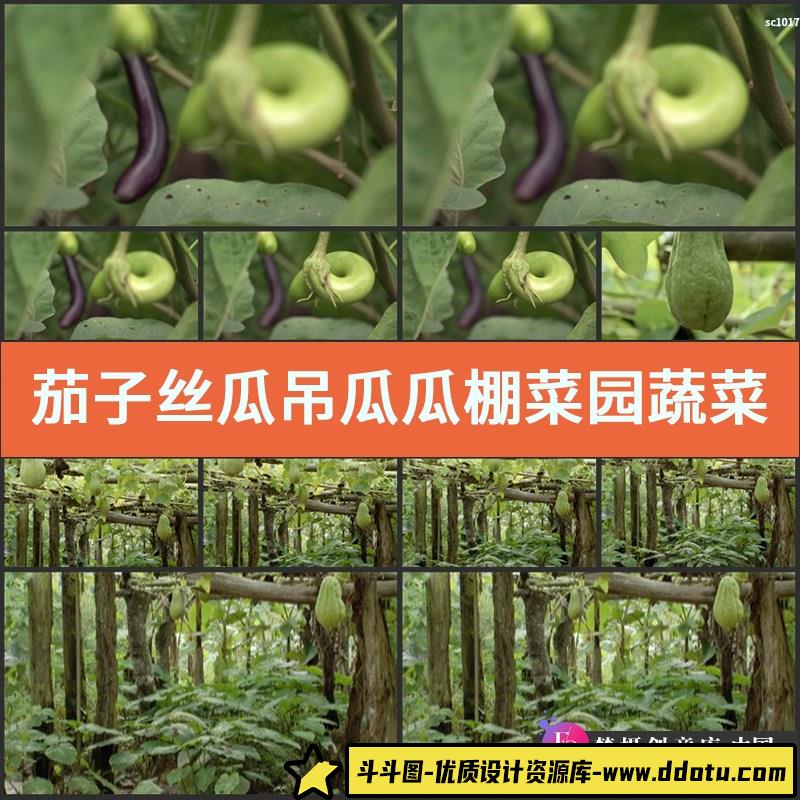 茄子 丝瓜 吊瓜 瓜棚菜园 蔬菜 影视动态宣传片视频高清实拍素材-斗斗图