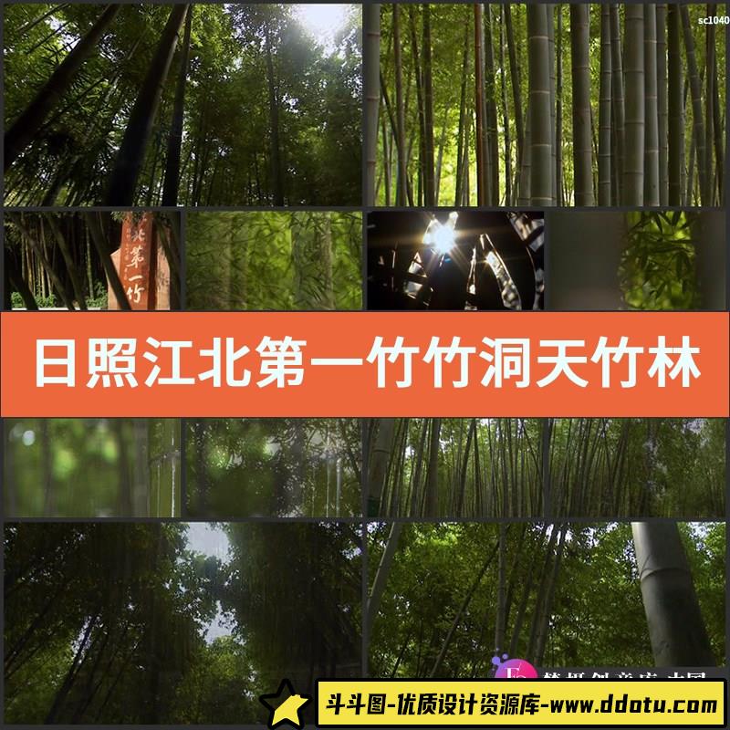 日照 江北第一竹 竹洞天 竹林竹子 高清实拍视频素材-斗斗图
