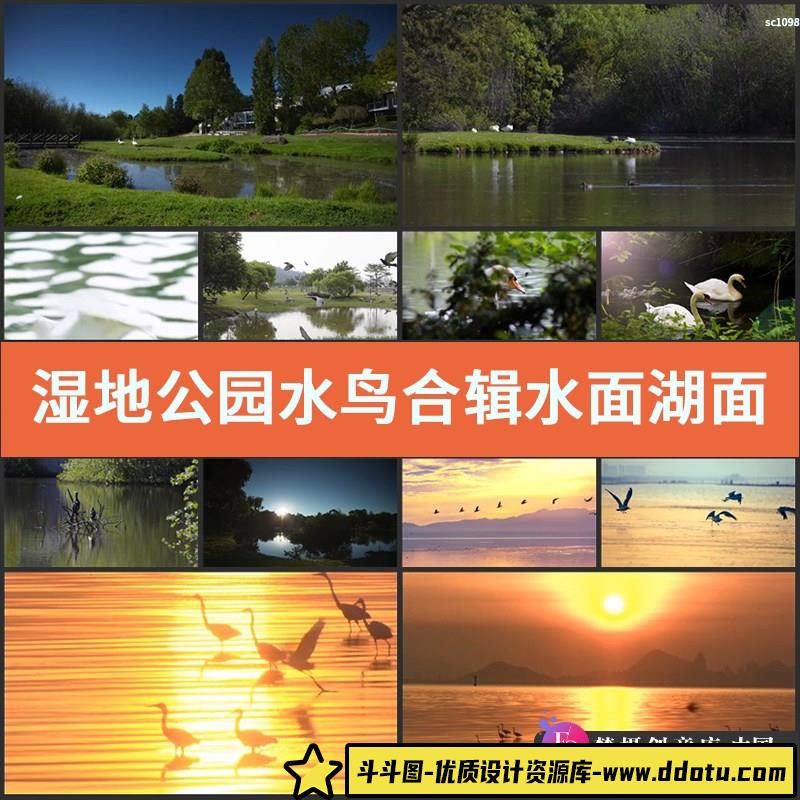 湿地公园 水鸟合辑 水面湖面 生态保护区视频素材 航拍湿地天鹅-斗斗图