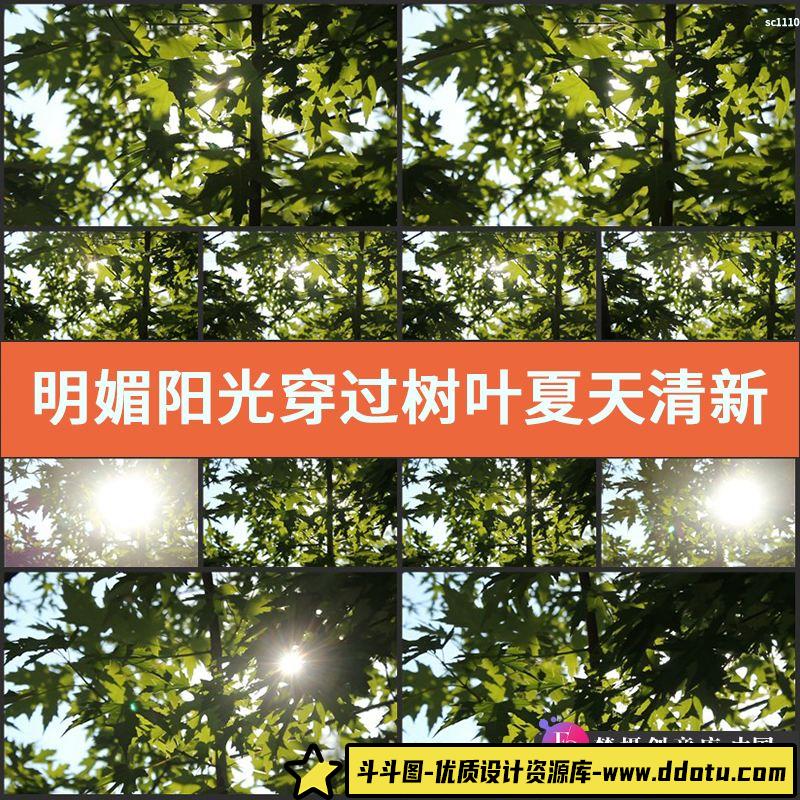 实拍明媚阳光穿过树叶 夏天 清新树叶 视频素材-斗斗图