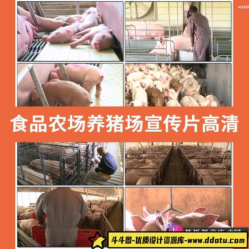 食品农场养猪场宣传片高清实拍养殖业农业视频素材-斗斗图