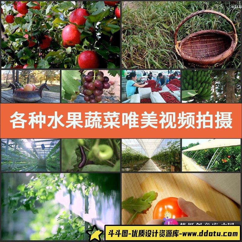 视频素材各种水果蔬菜唯美视频拍摄集锦 生态农业绿色无污染食品-斗斗图