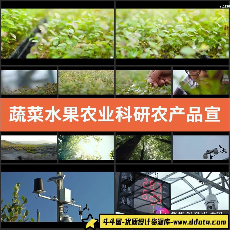 蔬菜水果 农业科研 农产品宣传片 现代大棚种植高清 实拍视频素材-斗斗图