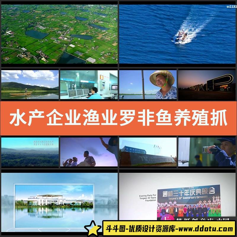 水产企业渔业罗非鱼养殖抓捕加工包装宣传片实拍高清视频视频素材-斗斗图