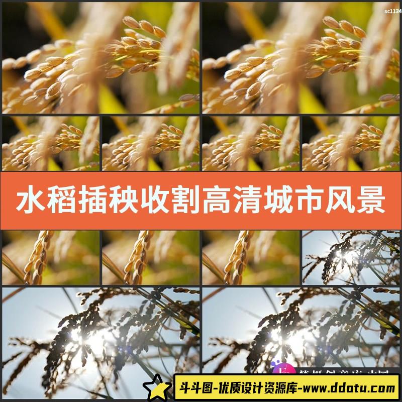 水稻插秧收割高清实拍视频素材 城市风景航拍农业自然高清素材-斗斗图