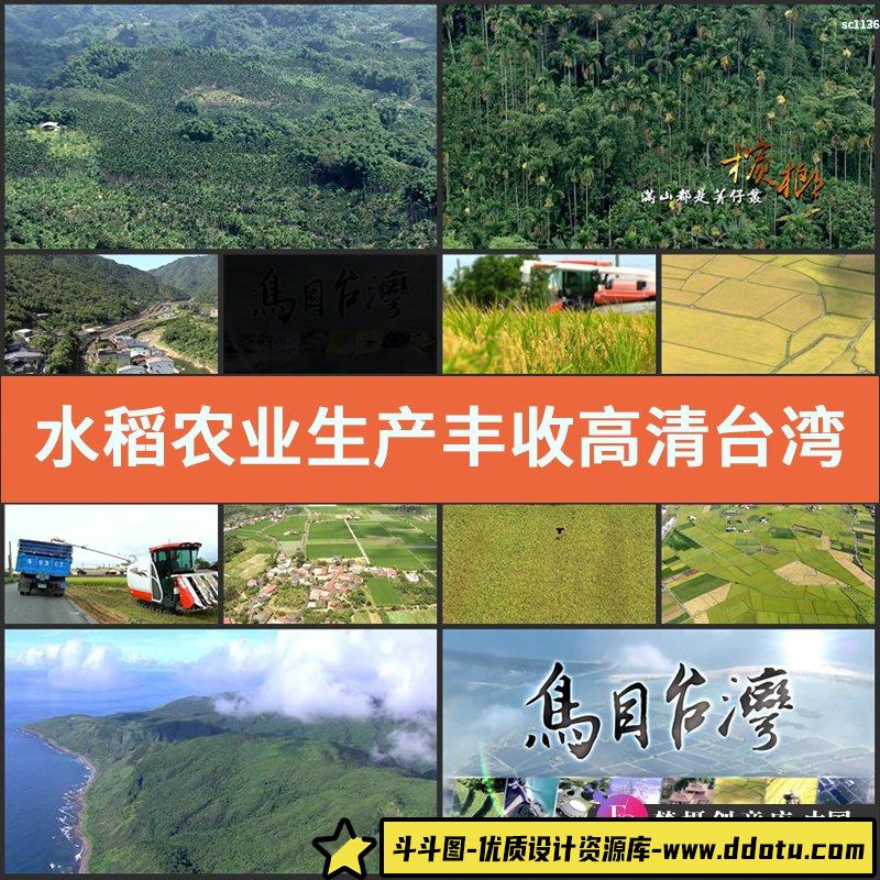 水稻农业生产丰收高清实拍视频素材台湾稻田农民收割耕田喷农药-斗斗图