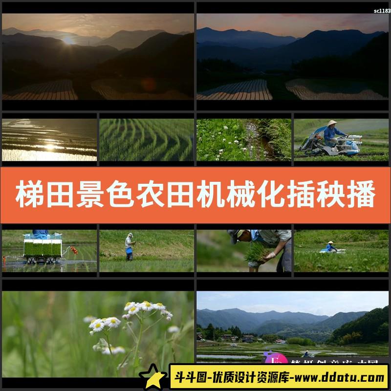 梯田景色农田机械化插秧播种 农田秧苗高清实拍视频素材-斗斗图