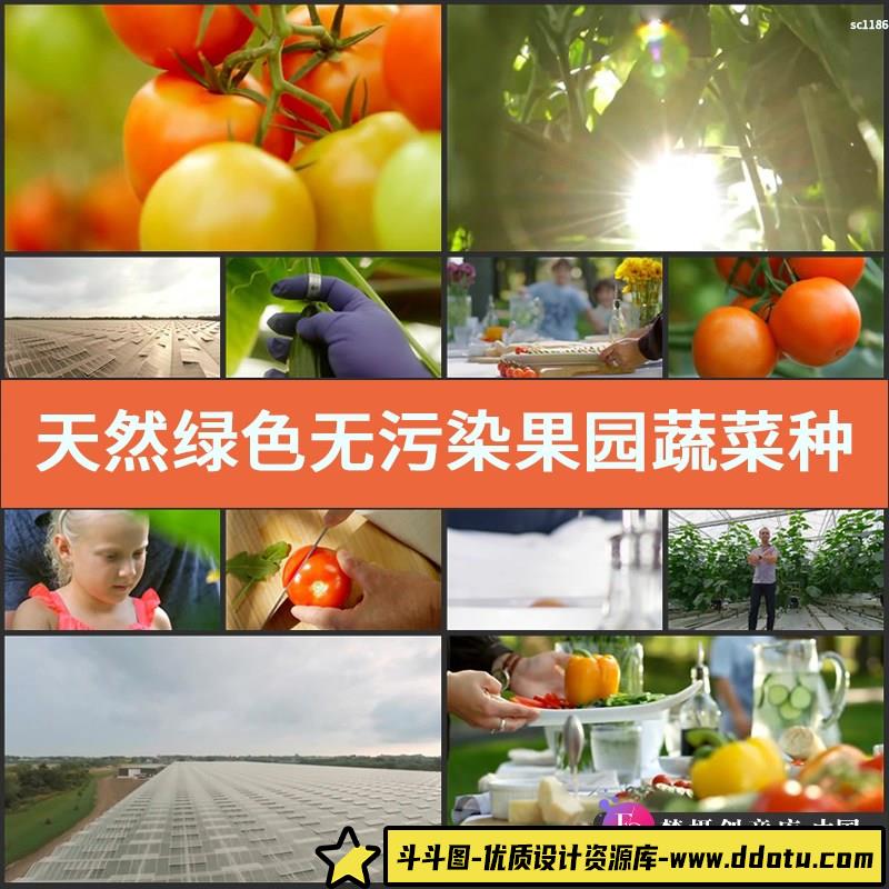 天然绿色无污染果园 蔬菜种植 大棚蔬菜基地 无农药 实拍视频素材-斗斗图