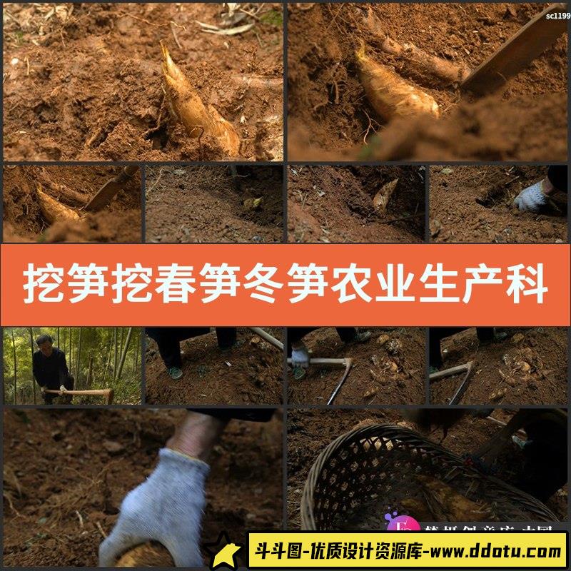 挖笋挖春笋冬笋 农业生产科技素材 高清实拍视频素材-斗斗图