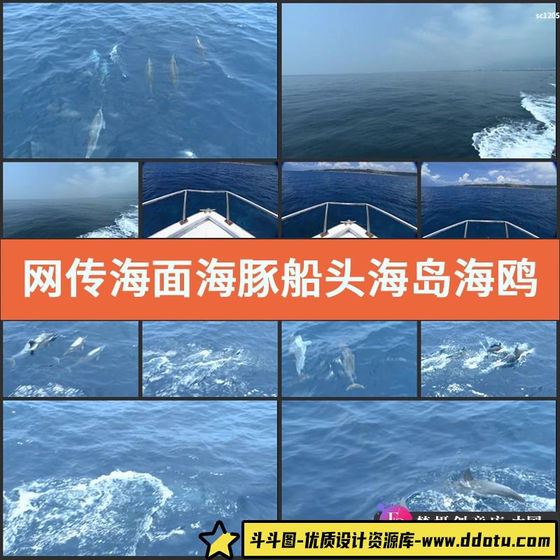 网传 海面海豚 船头 海岛 海鸥客轮 海天一色 中国高清视频素材-斗斗图