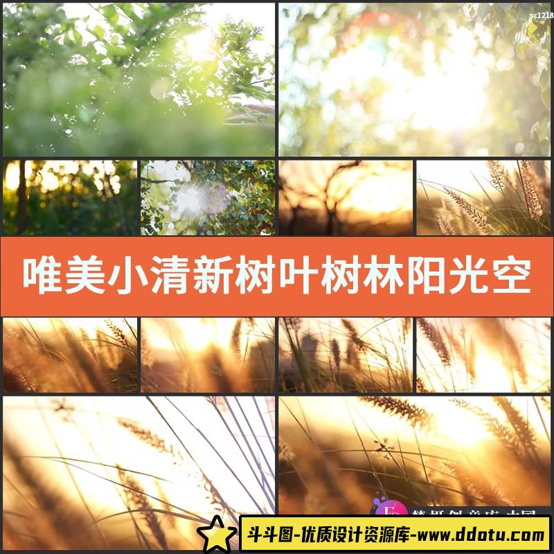 唯美小清新树叶树林阳光空镜头 大自然春天夏天绿叶视频素材-斗斗图