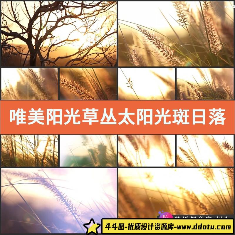 唯美阳光草丛太阳光斑日落夕阳空镜头专题宣传片实拍视频素材-斗斗图