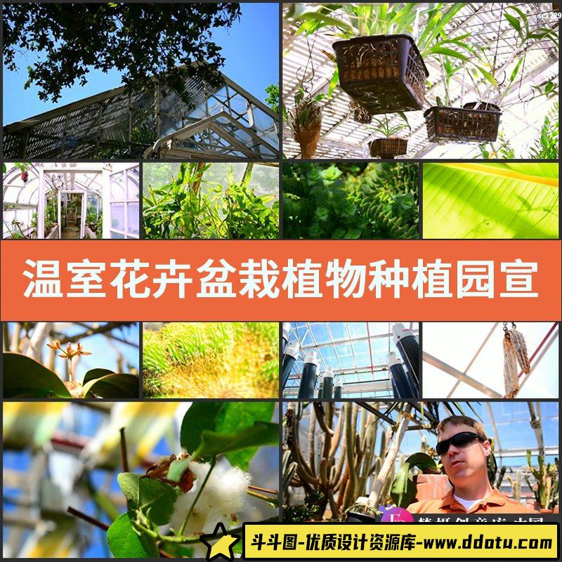 温室花卉盆 栽植物种植园宣传片 养花场景 花卉高清实拍视频素材-斗斗图