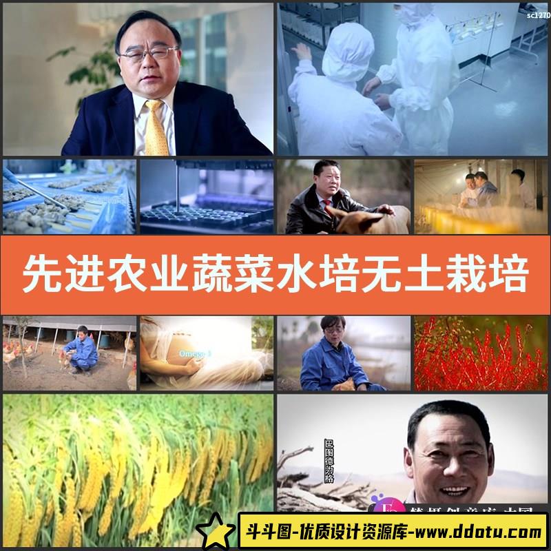 先进农业蔬菜水培无土栽培食品安全大棚蔬菜基地高清实拍视频素材-斗斗图