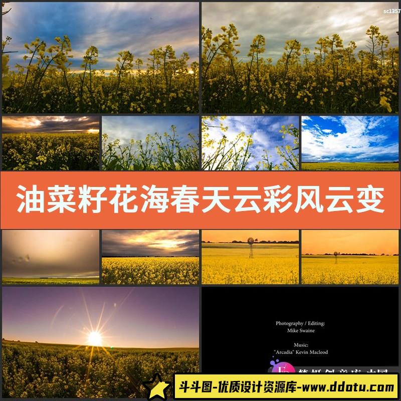 油菜籽花海春天云彩风云变幻延时摄影高清实拍视频素材-斗斗图