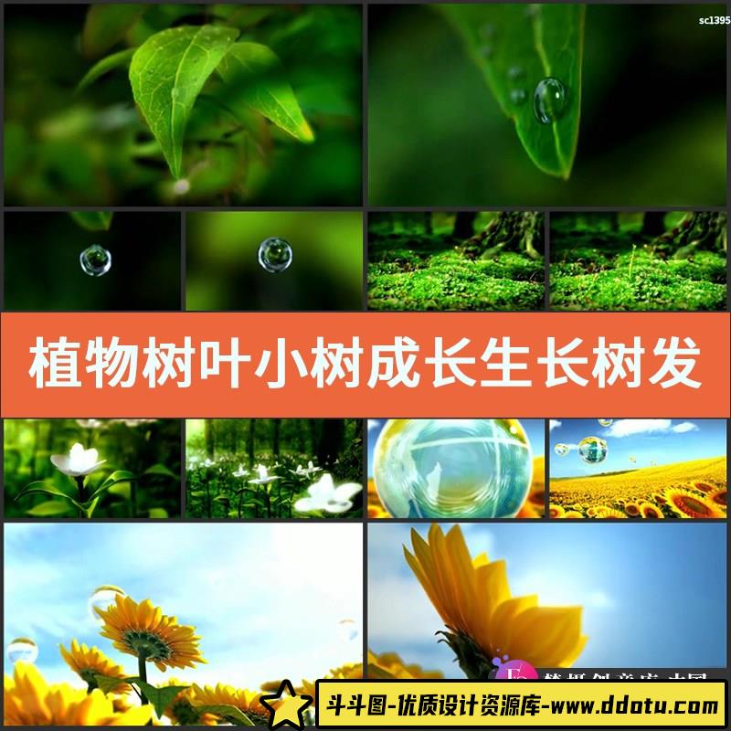 植物树叶小树成长生长树发芽动画 植树节绿色绿叶高清视频素材-斗斗图