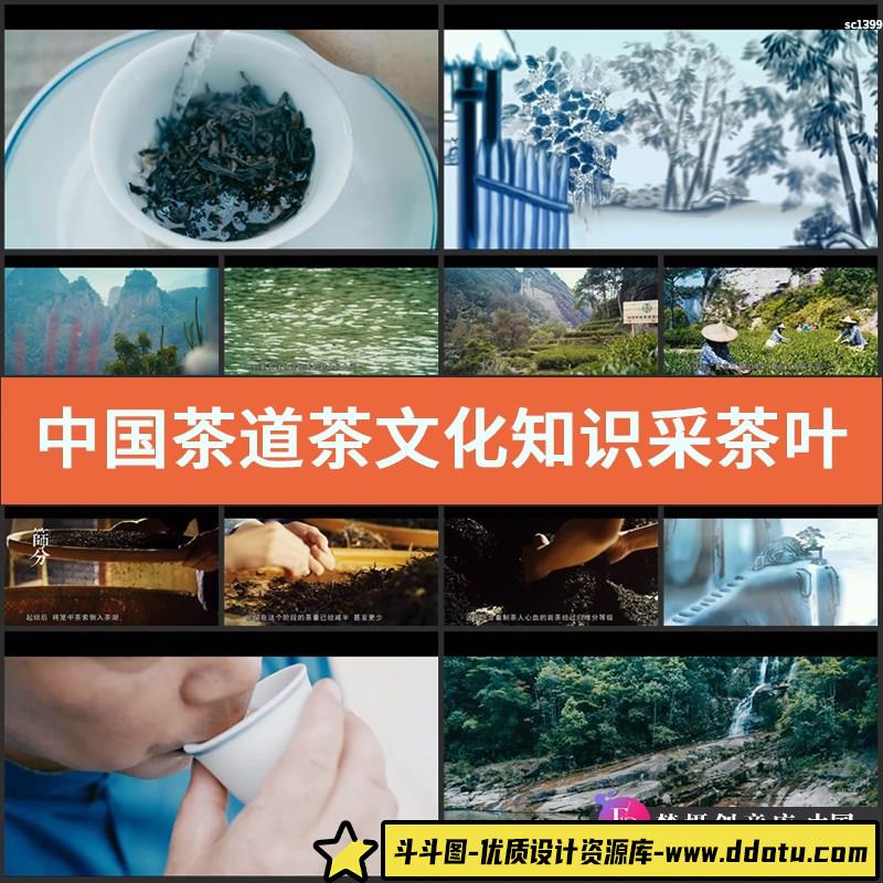中国茶道茶文化知识采茶叶制作品茶过程宣传片实拍高清视频素材-斗斗图