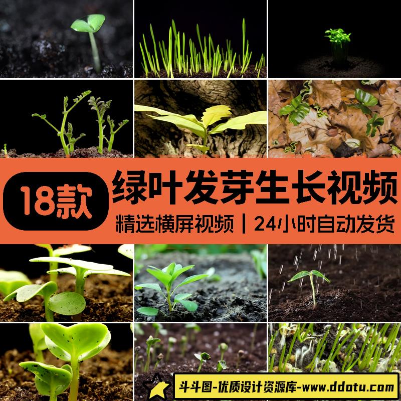 绿色幼苗嫩苗种子发芽植物快速生长延时从土壤破土而出短视频素材-斗斗图