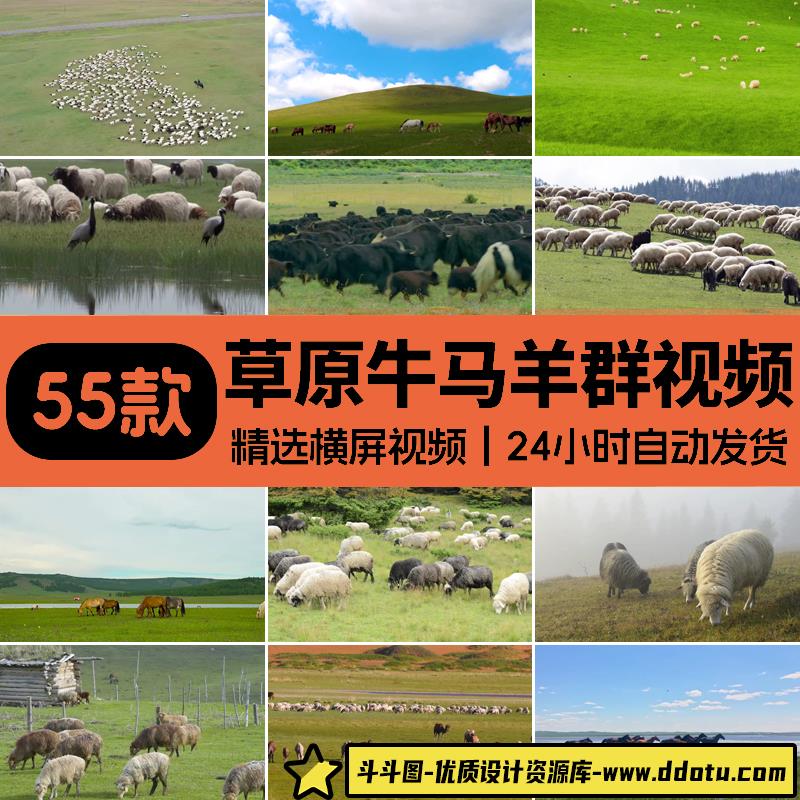 内蒙古大草原草地牛群马群羊群绵羊吃草牧场放牧航拍实拍视频素材-斗斗图