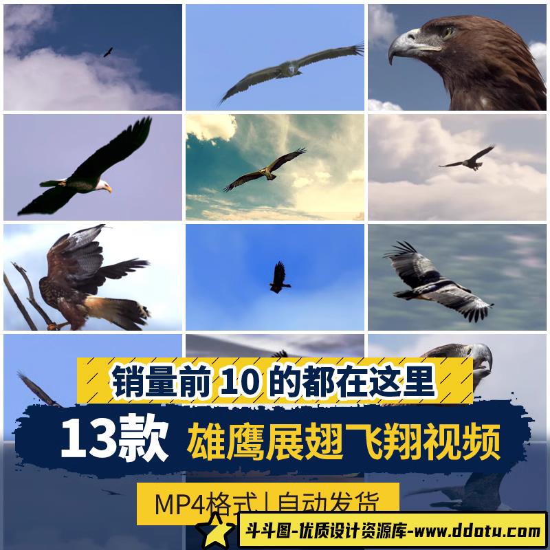 雄鹰飞翔鹰眼翱翔大鹏展翅长空飞行老鹰高飞过雪山励志短视频素材-斗斗图