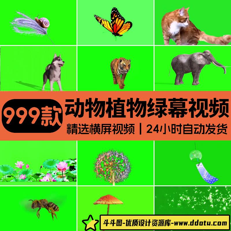 蜗牛治愈系蝴蝶蘑菇青蛙植物动物抠图图片特效绿幕风景短视频素材-斗斗图