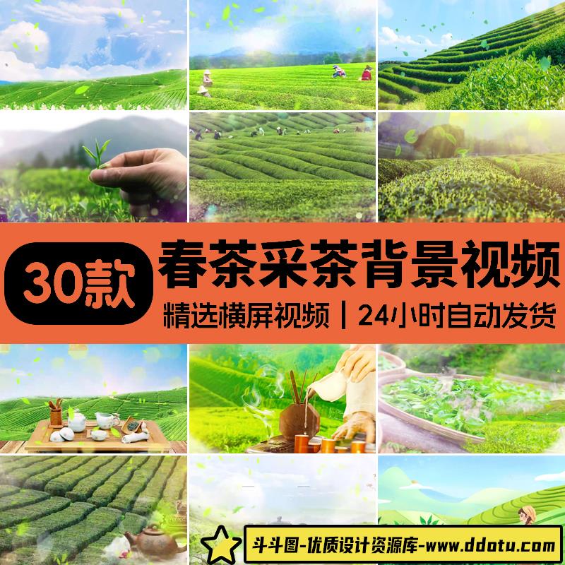 采茶舞曲茶山情歌舞台LED大屏背景喝茶品茶茶园茶山风景视频素材-斗斗图