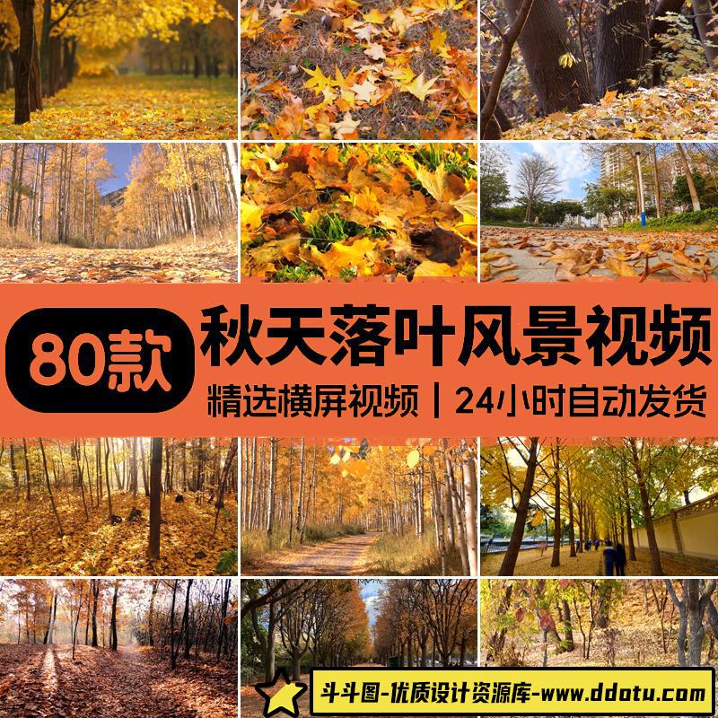 秋天风景唯美伤感怀旧落叶红叶树木枫叶凋零飘落自媒体短视频素材-斗斗图