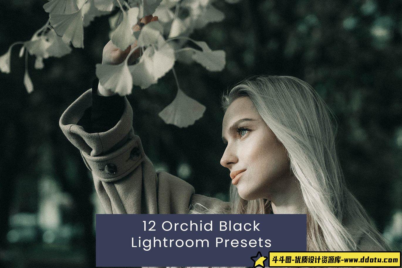 12款Orchid Black Lightroom预设：打造黑暗电影风格的人像胶片色彩效果 - 斗斗图-斗斗图
