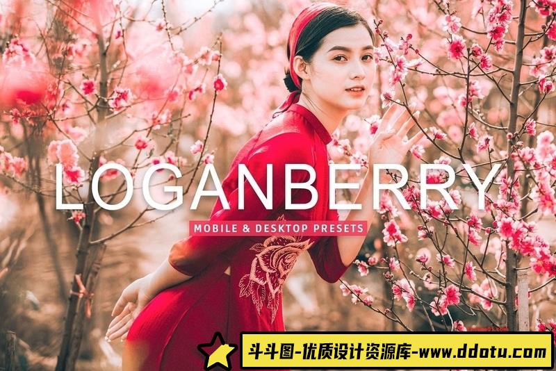 人像LR预设明亮电影胶片感人像调色预设lr预设ps滤镜pr调色lightroom人像lut插件-斗斗图