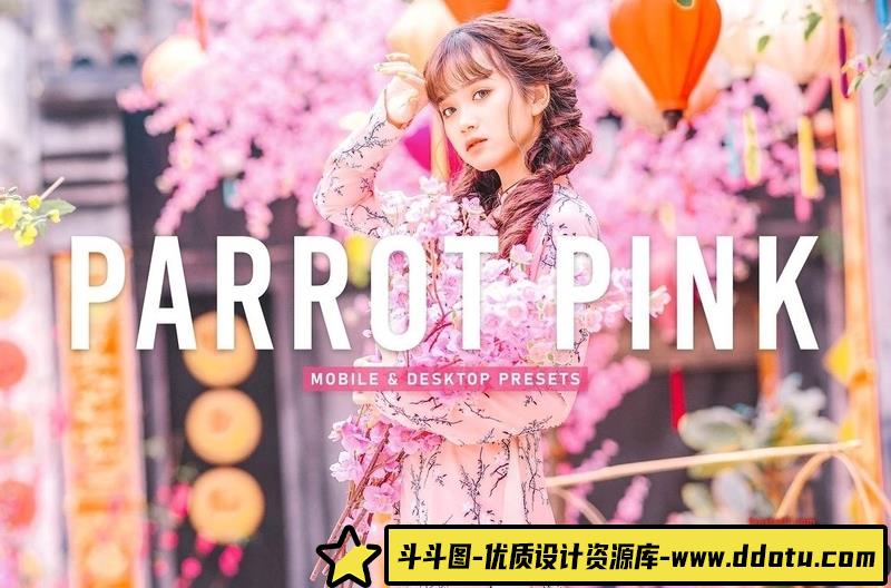 人像LR预设明亮粉彩古装人像调色预设lr预设ps滤镜pr调色lightroom人像lut插件-斗斗图