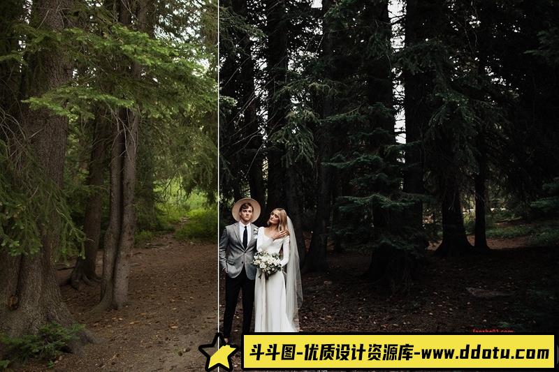 人像LR预设温暖胶片人像预设包lr预设ps滤镜pr调色lightroom人像lut插件