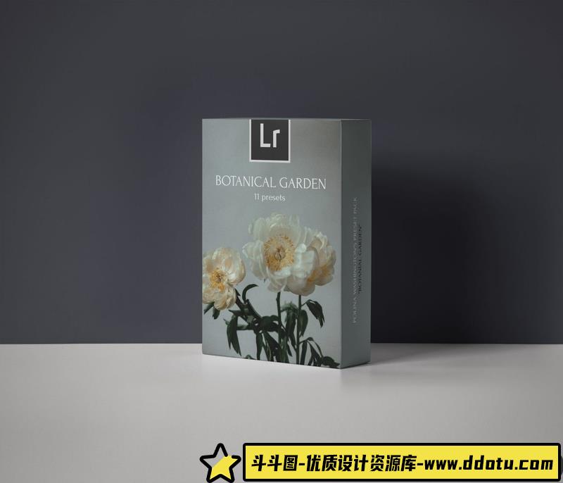 人像LR预设俄罗斯摄影师唯美冬季人像预设lr预设ps滤镜pr调色lightroom人像lut插件-斗斗图