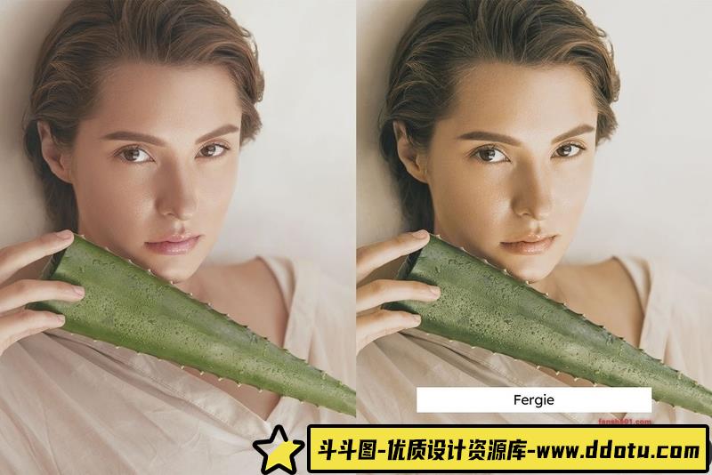 人像LR预设芦荟绿风格电影人像预设及视频剪辑调色预设lr预设ps滤镜pr调色lightroom人像lut插件