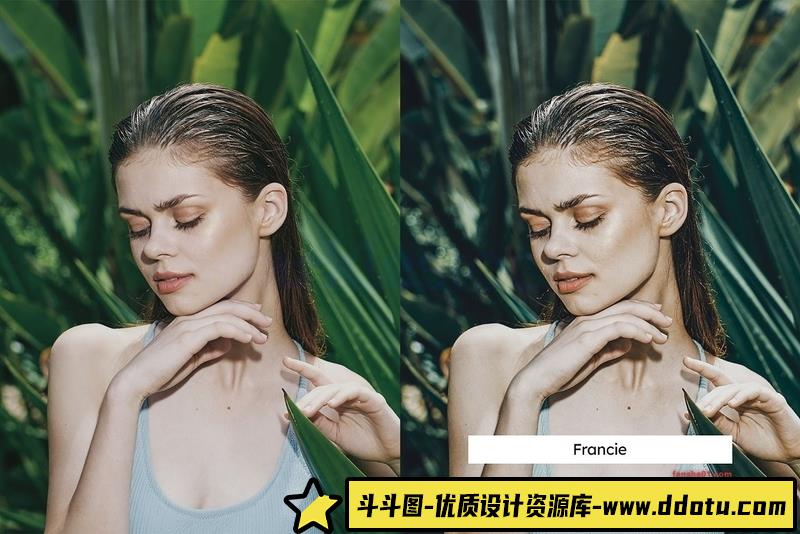 人像LR预设芦荟绿风格电影人像预设及视频剪辑调色预设lr预设ps滤镜pr调色lightroom人像lut插件