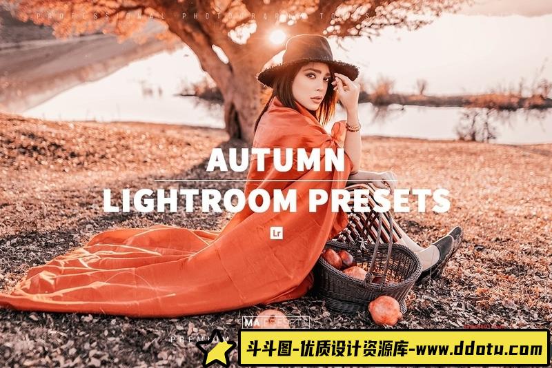 人像LR预设秋季人像后期调色预设lr预设ps滤镜pr调色lightroom人像lut插件-斗斗图