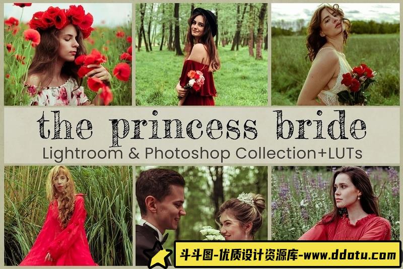 人像LR预设外拍森系人像后期调色预设lr预设ps滤镜pr调色lightroom人像lut插件-斗斗图